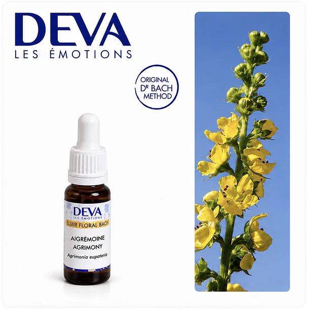 AGRIMONY / Agrimonia (1) 1