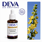 AGRIMONY / Agrimonia (1) 2