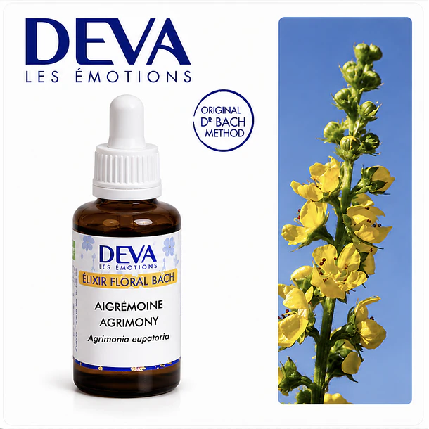 AGRIMONY / Agrimonia (1) 2