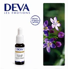 CENTAURY  / Centaura (4) 1
