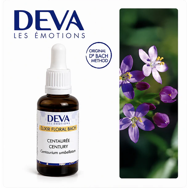 CENTAURY  / Centaura (4) 2