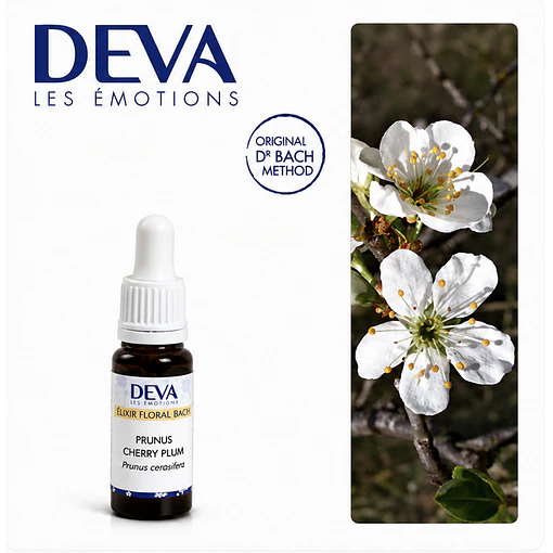 CHERRY PLUM / Cerasífera (6)
