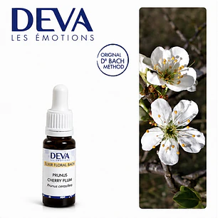 CHERRY PLUM / Cerasífera (6)