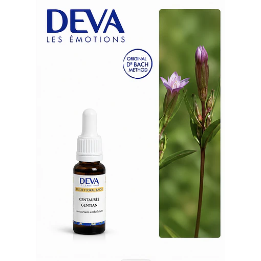 GENTIAN / Genciana (12)