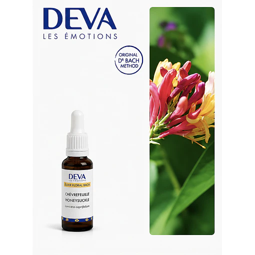 HONEYSUCKLE / Madreselva (16)