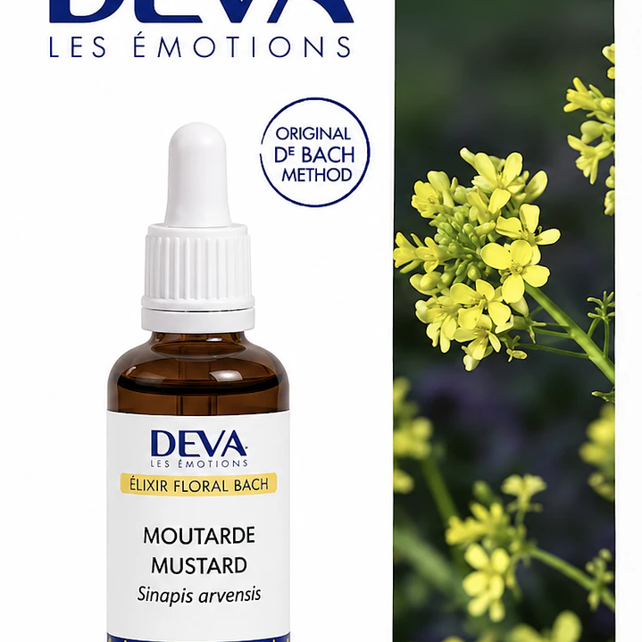 MUSTARD / Mostaza silvestre (21) 2