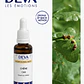 OAK / Roble (22) - Miniatura 2