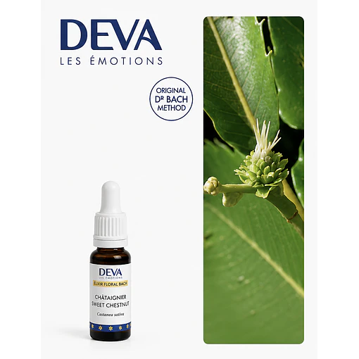 SWEET CHESTNUT / Castaño dulce (30)