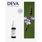 VERVAIN / Verbena (31) 1