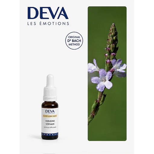 VERVAIN / Verbena (31)