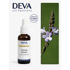 VERVAIN / Verbena (31) 2