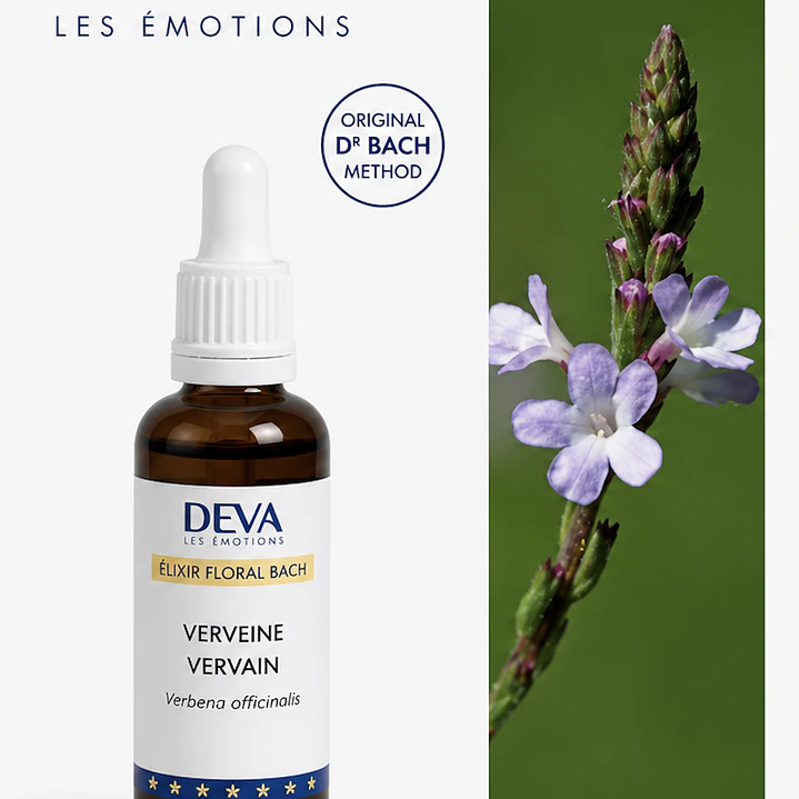 VERVAIN / Verbena (31) 2