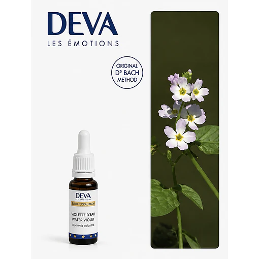WATER VIOLET / Violeta de Agua (34)