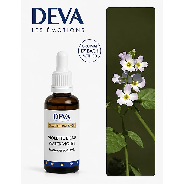 WATER VIOLET / Violeta de Agua (34) 2