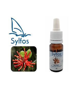 NOTRO (Embothrium coccineum) - 18