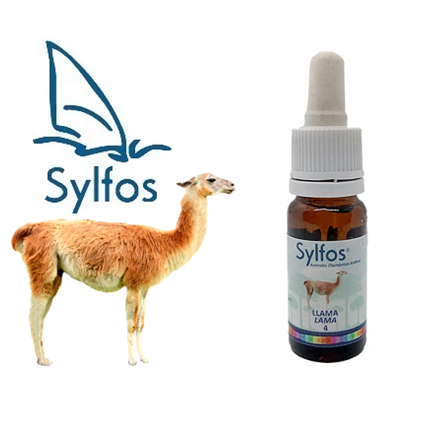LLAMA - 4