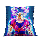 Cojín Dragon Ball 5