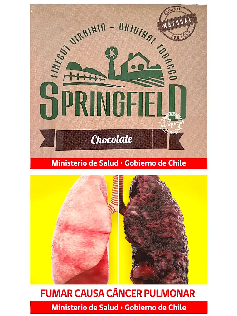 springfield chocolate 1