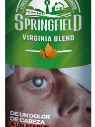 Springfield Virginia 40 grs