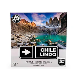 PUZZLE 1000 PIEZAS CHILE