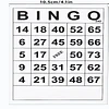 CARTONES BINGO 60PZAS