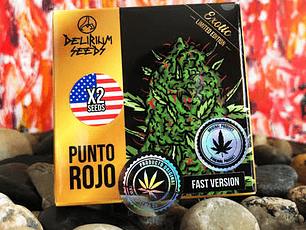 Semilla Punto Rojo Auto 4 Uni.- DELIRIUM SEEDS