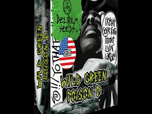 Semilla WILD GREEN POISON D 4 FAST - DELIRIUM SEEDS