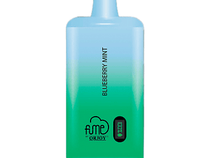 Vape Fume Recharge Plus 4.5% Nic 10.000 Puff Blueberry Mint