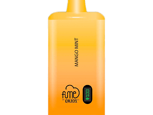 Vape Fume Recharge Plus 4.5% Nic 10.000 Puff Mango Mint