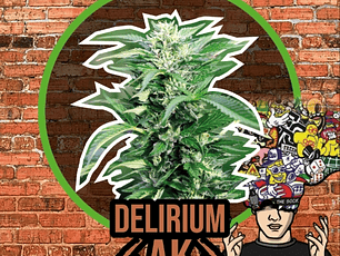 Delirium AK Fem - DeliriumSeeds (Packs: X1)