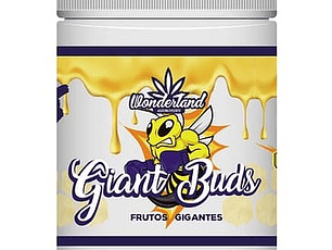 Gigant Bunds 120ml