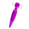 Vibrador Microfono 