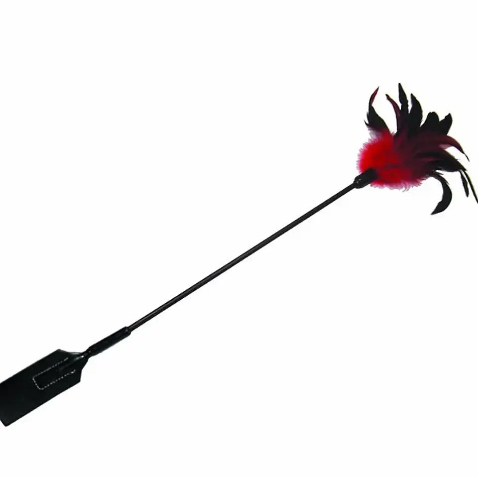 Fusta con Plumas 2