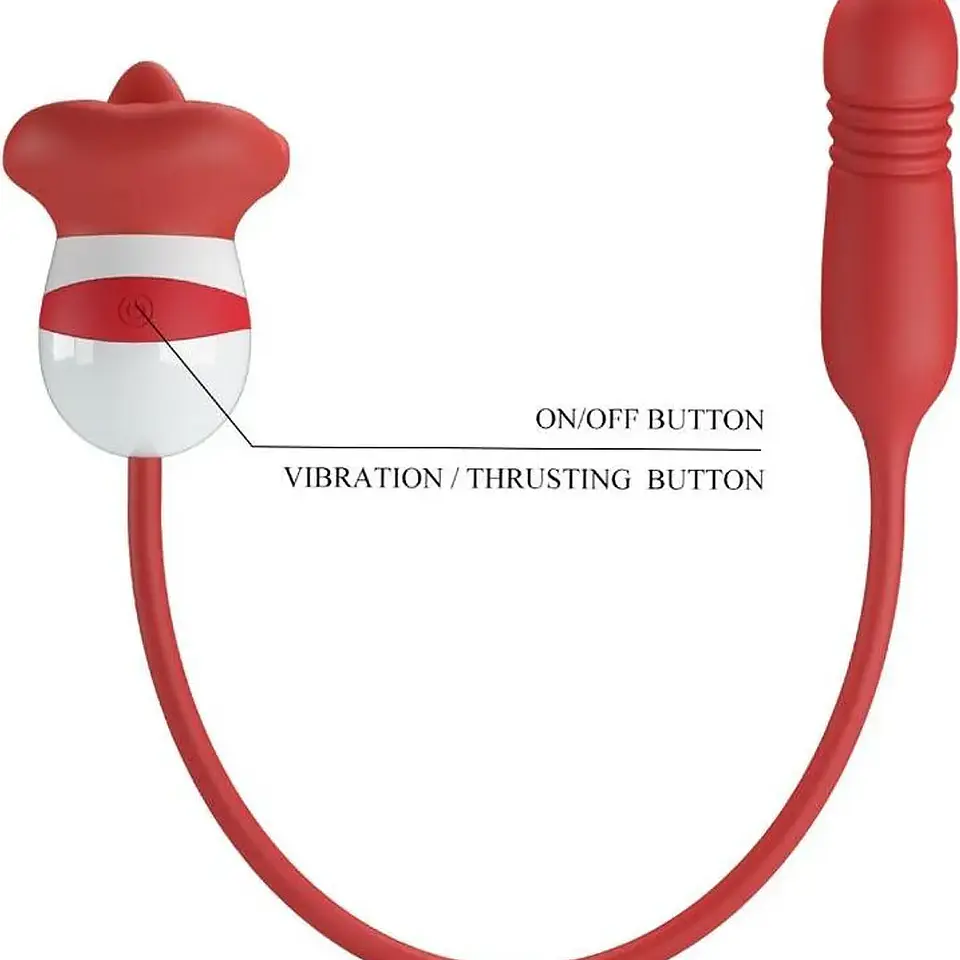 Vibrador Lamedor e impulsor  
