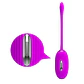 Huevo vibrador a control Shock Fun - Miniatura 3