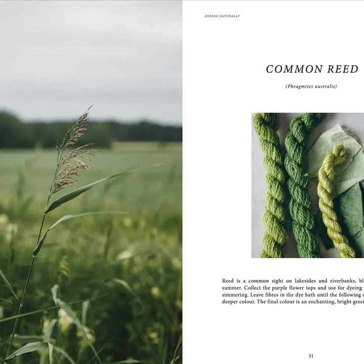 Dyeing Naturally – Emma Kylmälä 4