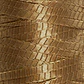 Fitonê - Thumbnail 9