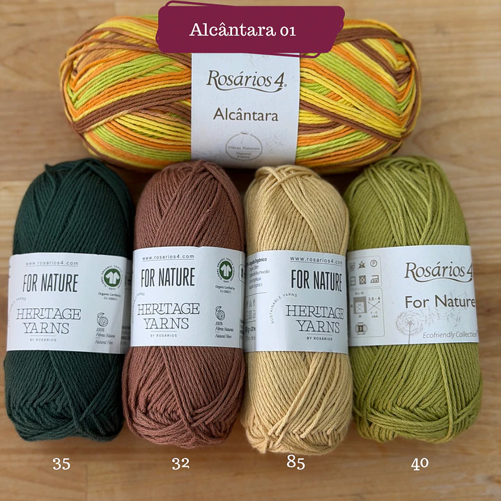 Workshop On-line Crochet Tunisino Top Vitral 3