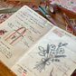 Workshop Como começar um diário/caderno criativo - ONLINE - Thumbnail 4