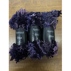 Pack de 3 Ellus Roxo