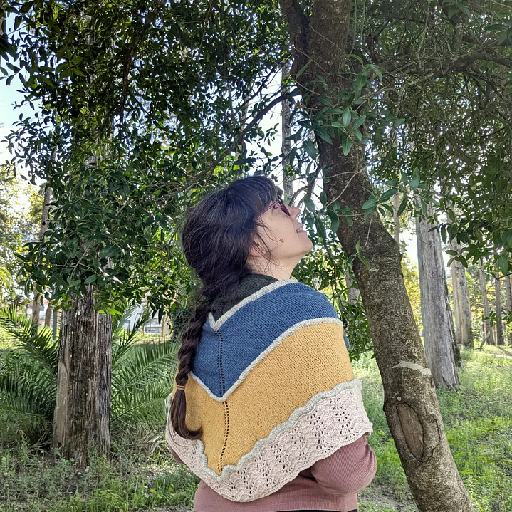 Box Xaile Terra - Tricot 8