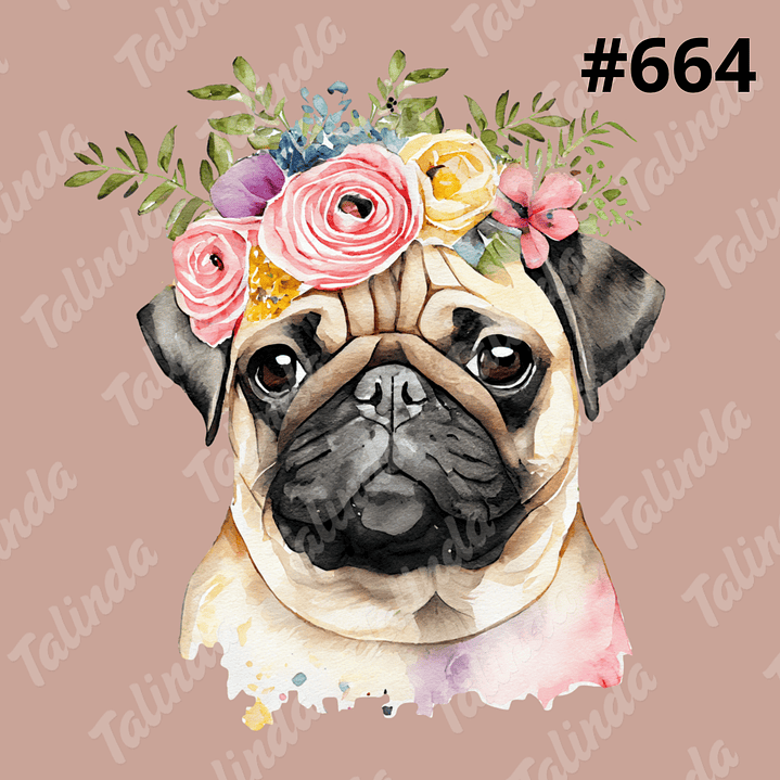 Totebag Frida Diseño #664 2