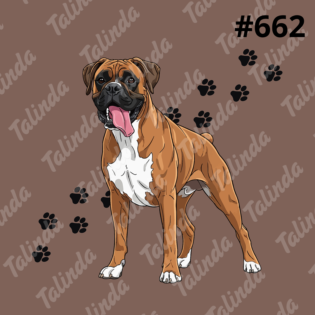 Totebag Frida Diseño #662 1