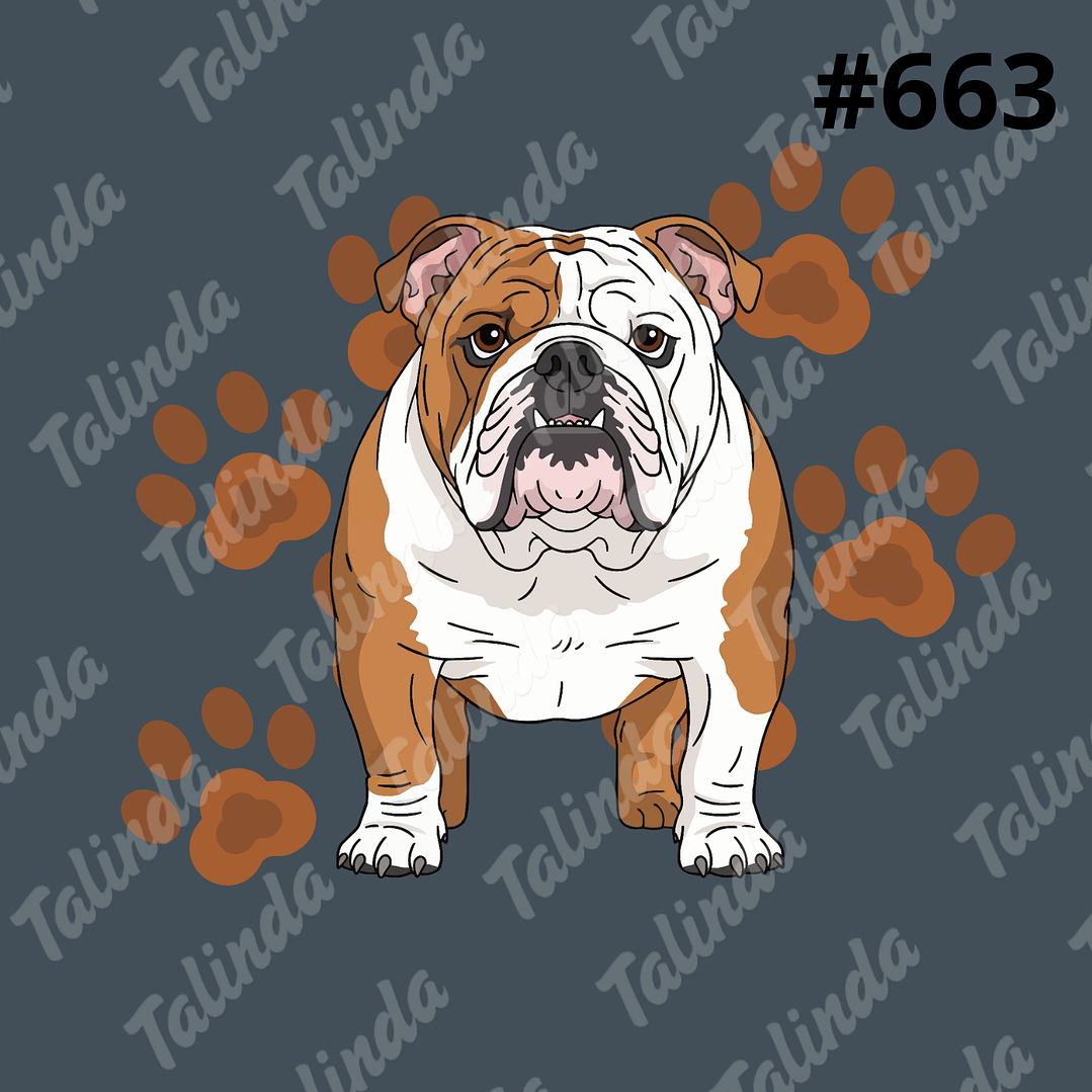 Totebag Frida Diseño #663 1