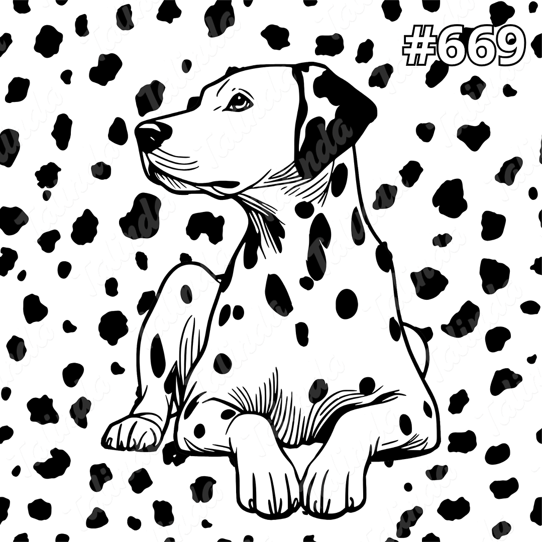 Totebag Frida Diseño #669 1