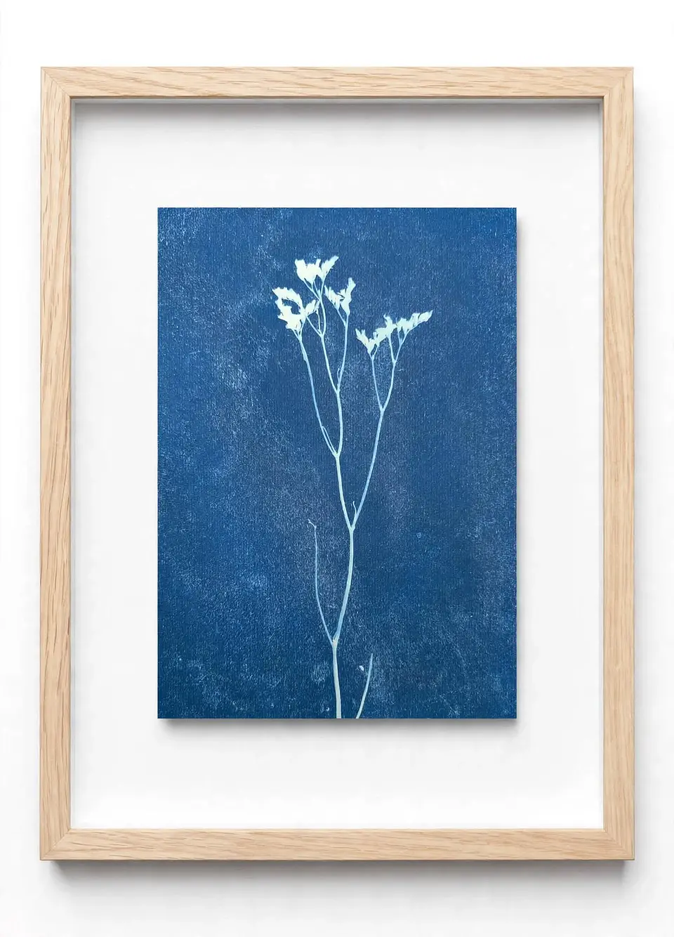 Serie Vegetal: Fragmentos de un Jardín 2