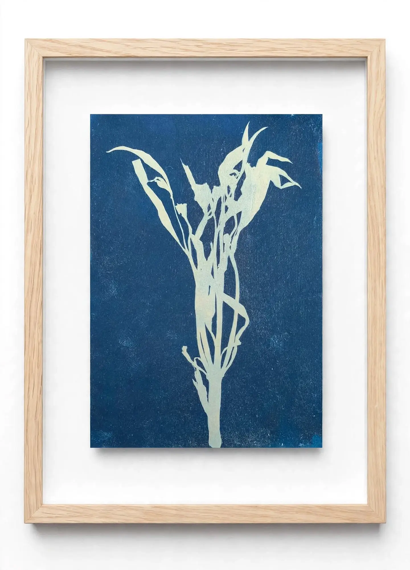 Serie Vegetal: Fragmentos de un Jardín 3