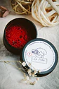 Kit de Cianotipia en Polvo – 80g - Miniatura 4