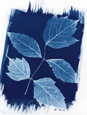 Pack Papeles Acuarela - 15X14,5 Cm - 300 Gr. - 5 Unidades