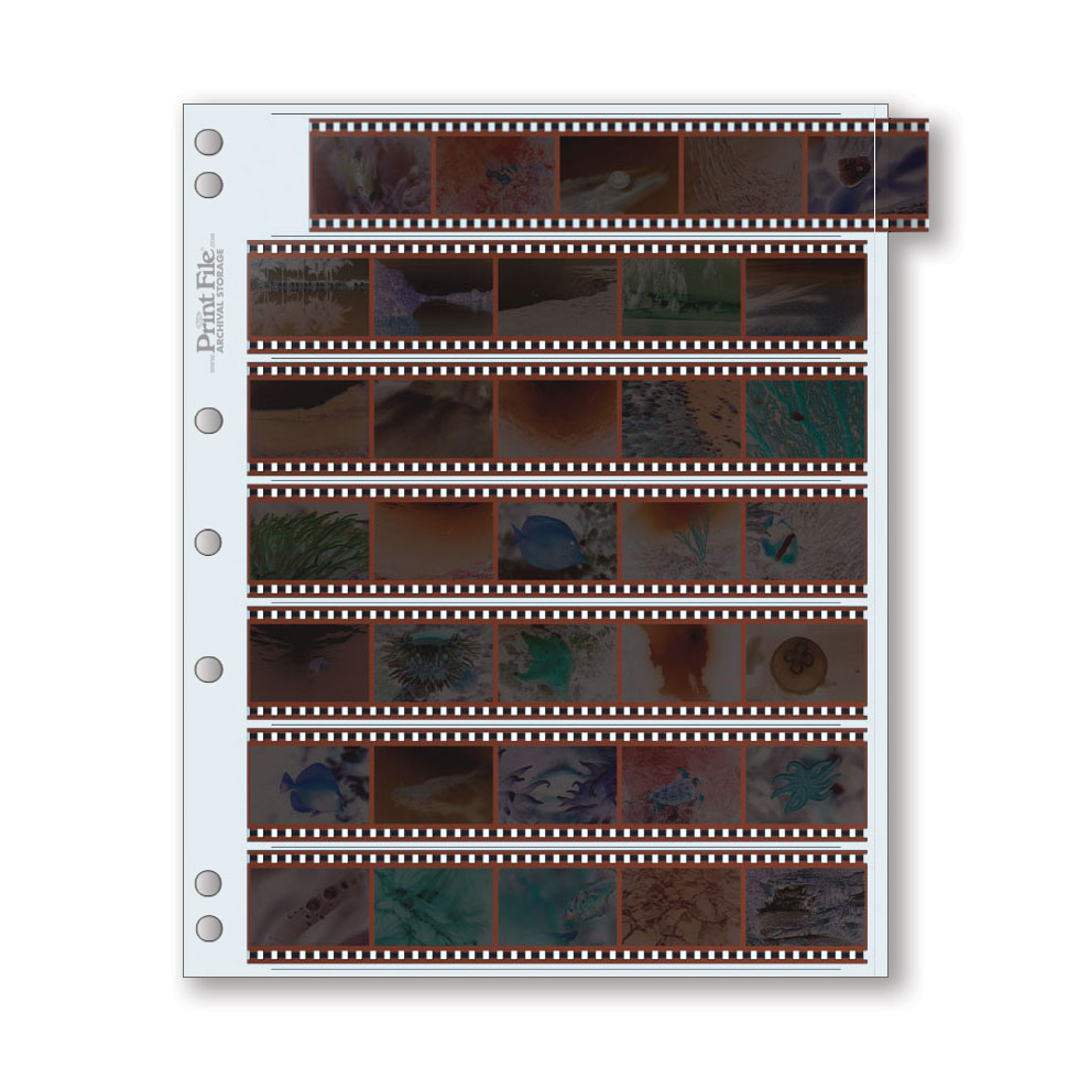 Funda para negativos fotográficos - Print File - 35mm